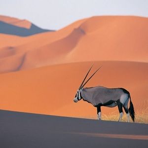 Meet your Posher, Ashleigh